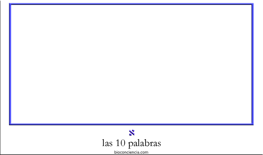 las 10 palabras bioconciencia